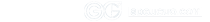 17318966279250151